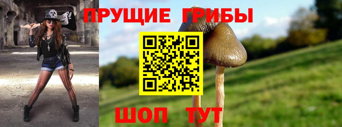 Лсд 25 Артём